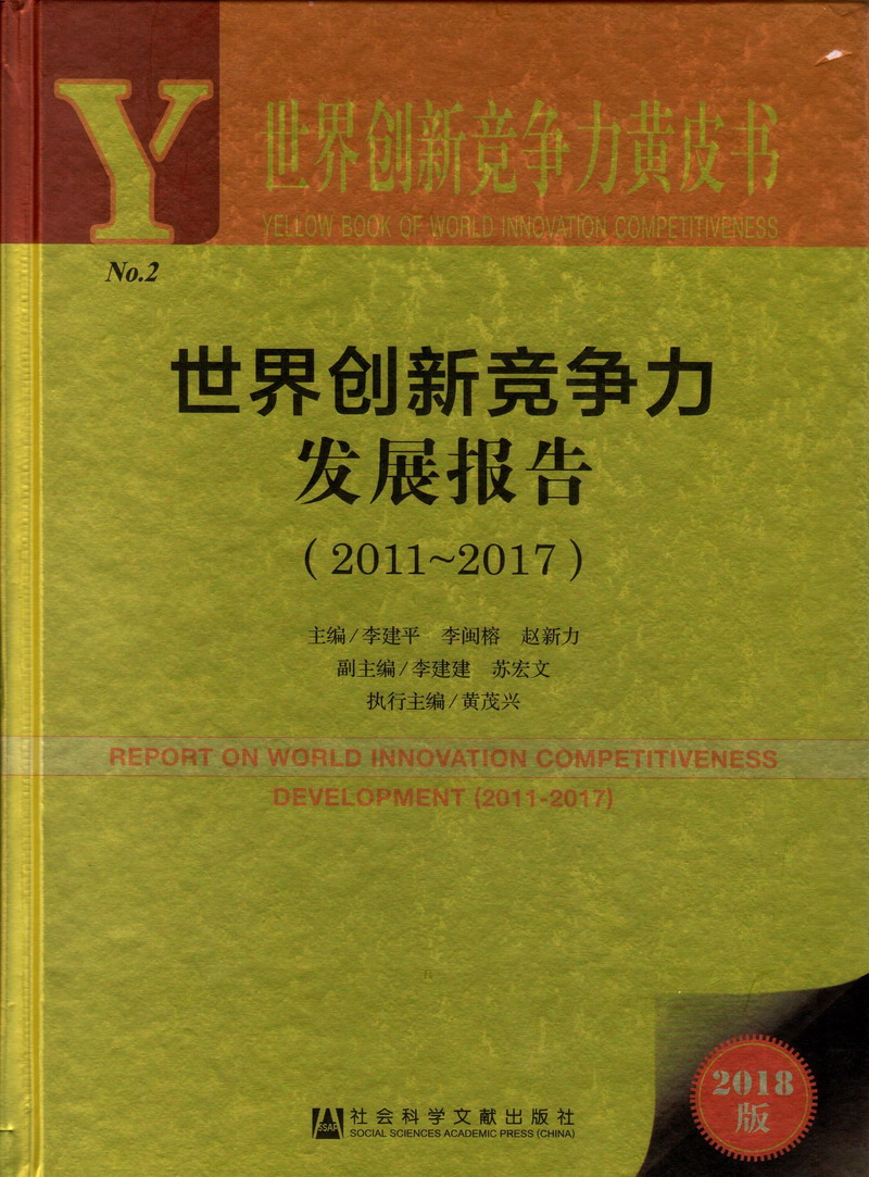 大龟头干美女在线世界创新竞争力发展报告（2011-2017）